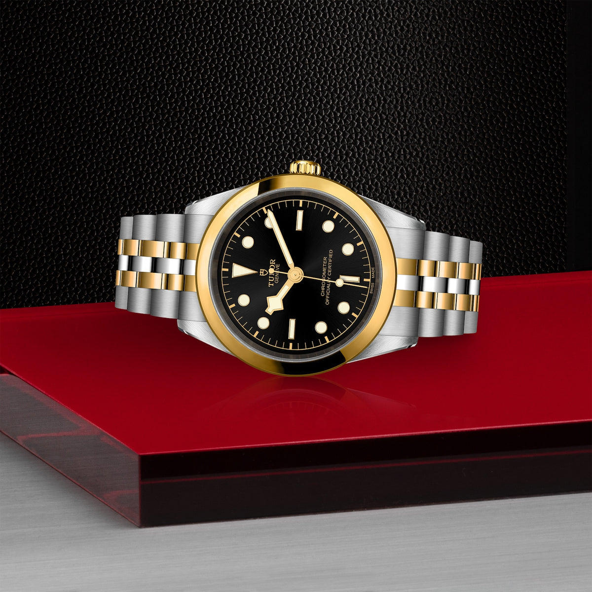 TUDOR Black Bay 41mm Chronometer Yellow Gold and Steel Automatic Watch M79683-0001 - Michael Jones Jeweller