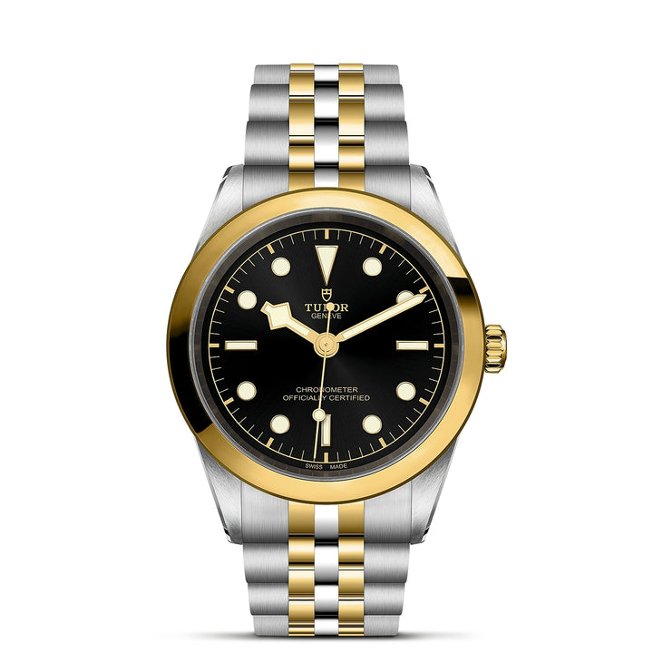 TUDOR Black Bay 41mm Chronometer Yellow Gold and Steel Automatic Watch M79683-0001 - Michael Jones Jeweller