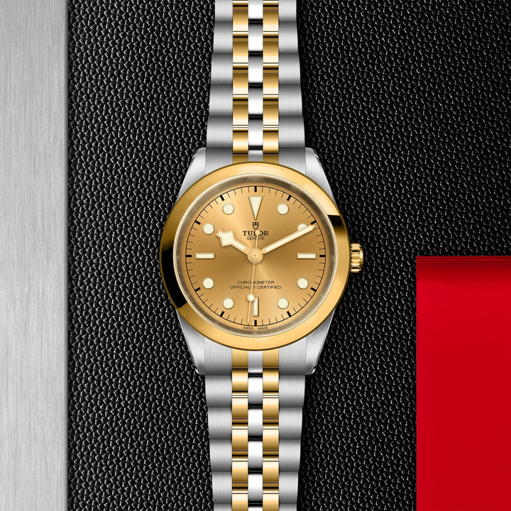 TUDOR Black Bay 41mm Chronometer Yellow Gold and Steel Automatic Watch M79683-0005 - Michael Jones Jeweller