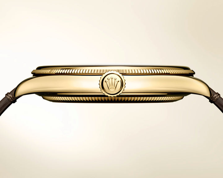 Rolex New Watches 2023