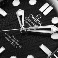 OMEGA Seamaster Diver 300M Co-Axial Master Chronometer 42mm Watch O21032422001003