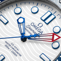 OMEGA Seamaster Diver 300m America's Cup Co-Axial Master Chronometer 42mm O21032422004002 - Michael Jones Jeweller