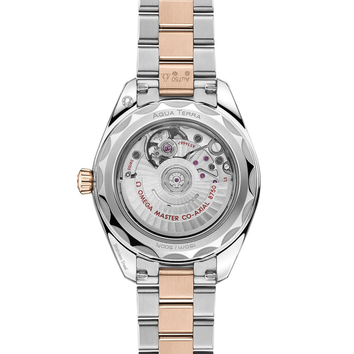 OMEGA Seamaster Aqua Terra Co-Axial Master Chronometer 30mm O22020302010002