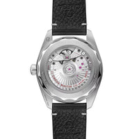 OMEGA Seamaster Railmaster Co-Axial Master Chronometer 38mm O23512382006001 - Michael Jones Jeweller