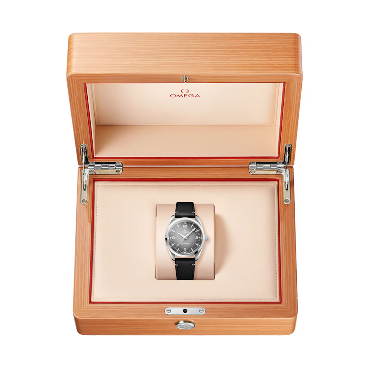 OMEGA Seamaster Railmaster Co-Axial Master Chronometer 38mm O23512382006001 - Michael Jones Jeweller