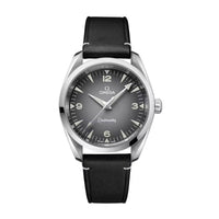 OMEGA Seamaster Railmaster Co-Axial Master Chronometer 38mm O23512382006001 - Michael Jones Jeweller