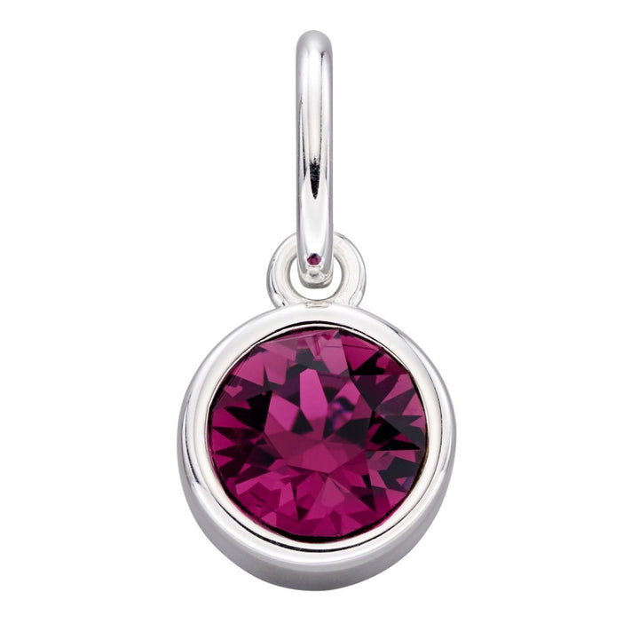 Crystal Birthstone Silver Charm February