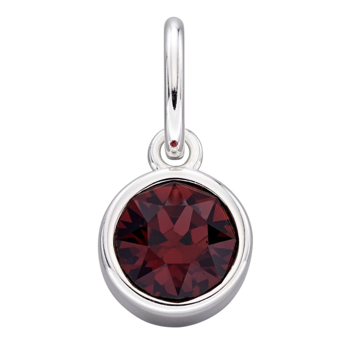 Crystal Birthstone Silver Charm January