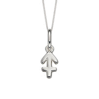 Zodiac Sagittarius Silver Charm