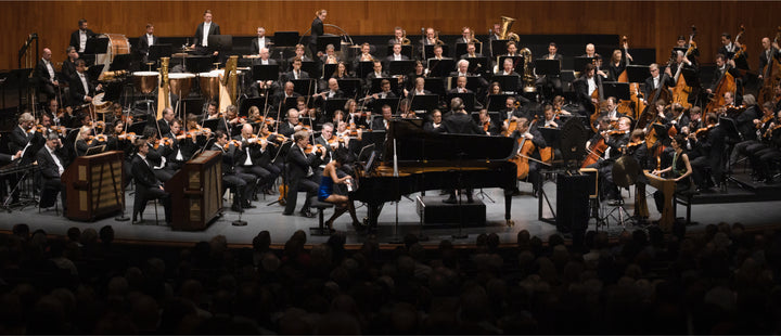 Vienna Philharmonic Orchestra