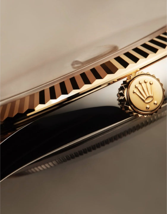 Rolex case close up