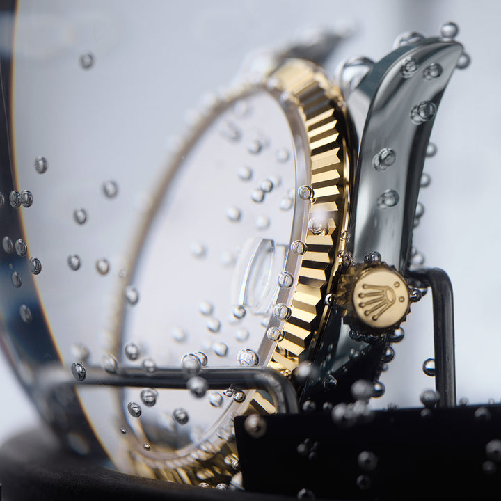 Rolex Servicing Procedure -Assembly of the case