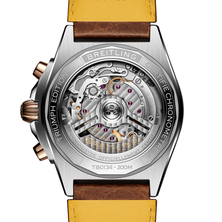 Breitling Chronomat B01 42mm Triumph Automatic Watch TB0134101M1X1 - Michael Jones Jeweller