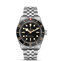 TUDOR Black Bay 58 Master Chronometer Stainless Steel Automatic Watch M7939A1A0NU-0001