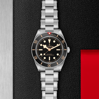 TUDOR Black Bay 58 Master Chronometer Stainless Steel Automatic Watch M7939A1A0NU-0002