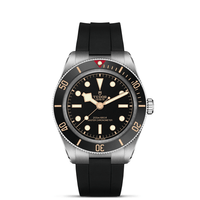 TUDOR Black Bay 58 Master Chronometer Stainless Steel Automatic Watch M7939A1A0NU-0003