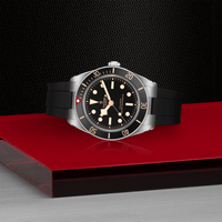 TUDOR Black Bay 58 Master Chronometer Stainless Steel Automatic Watch M7939A1A0NU-0003