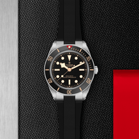 TUDOR Black Bay 58 Master Chronometer Stainless Steel Automatic Watch M7939A1A0NU-0003