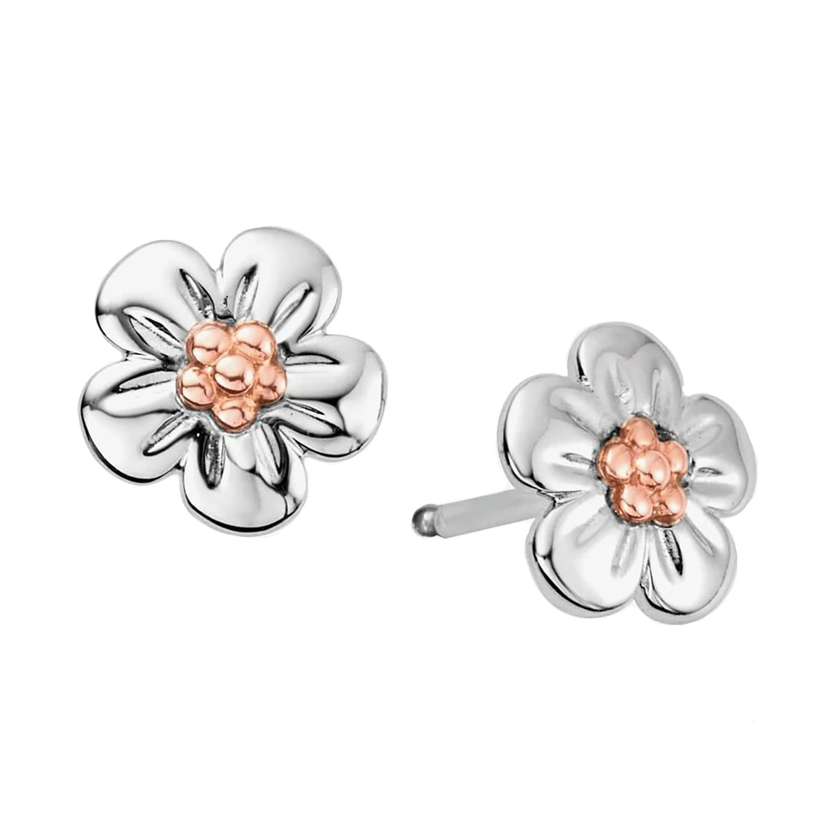 Clogau Forget Me Not Stud Earrings - Michael Jones Jeweller