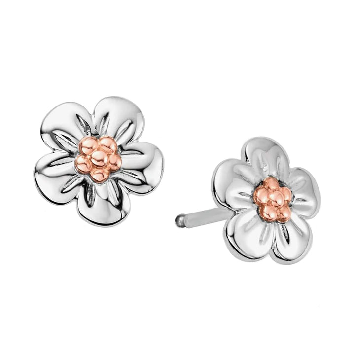Clogau Nature's Wonder Sterling Silver Forget-Me-Not Stud Earrings 3SFMN0621