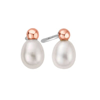 Clogau Welsh Beachcomber Silver and Pearl Stud Earrings