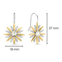 Ti Sento Yellow Gold Plated Mother of Pearl and Cubic Zirconia Star Drop Earrings - Michael Jones Jeweller