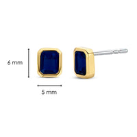 Ti Sento Yellow Gold Plated Octagonal Dark Blue Cubic Zirconia Stud Earrings