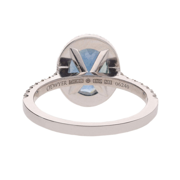 Sapphire and Diamond Pavé 18ct White Gold Ring - Michael Jones Jeweller