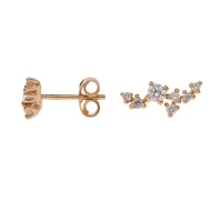 Diamond Blossom 18ct Rose Gold Earrings