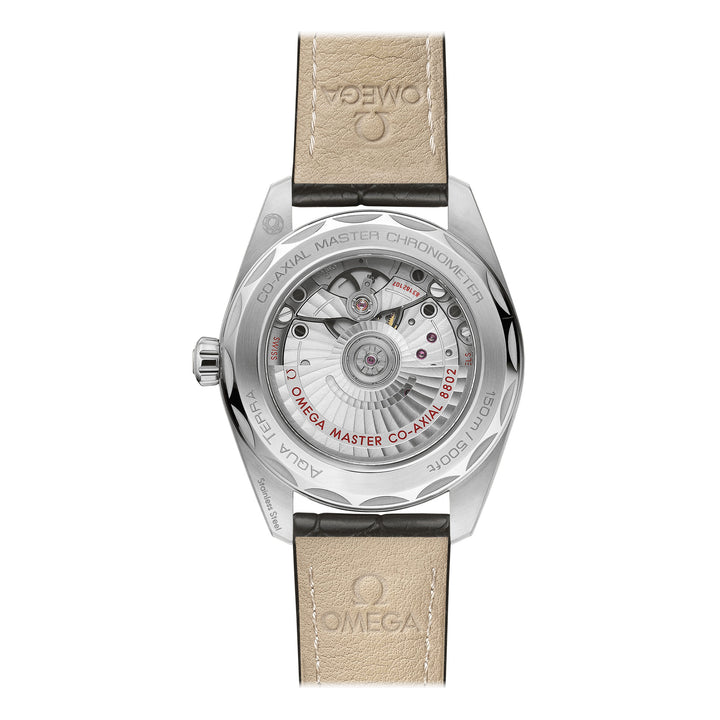 OMEGA Seamaster Aqua Terra 150m Co-Axial Master Chronometer Small Seconds 38mm O22013382060001 - Michael Jones Jeweller