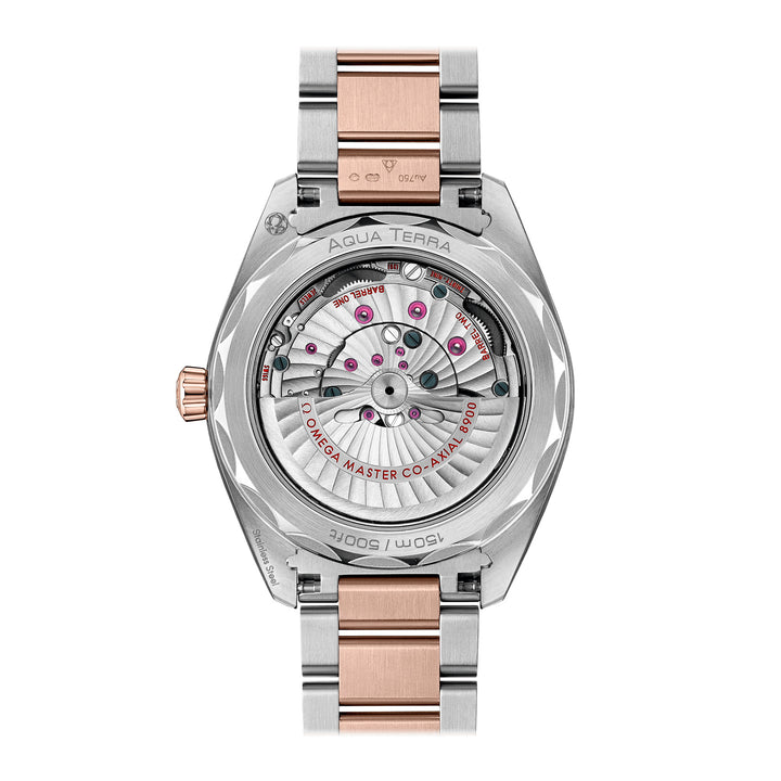 OMEGA Seamaster Aqua Terra 150m Co-Axial Master Chronometer 41mm O22020412102001 - Michael Jones Jeweller