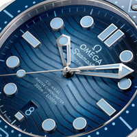 Omega Seamaster Diver 300M Co-Axial Master Chronometer 42mm O21032422003002